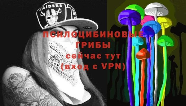 дмт Арсеньев