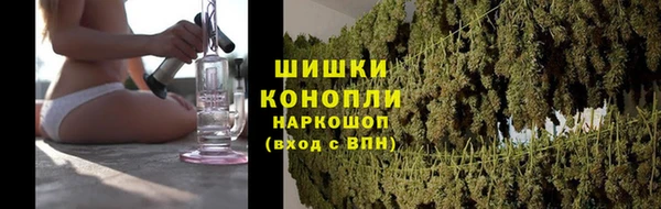 дмт Арсеньев