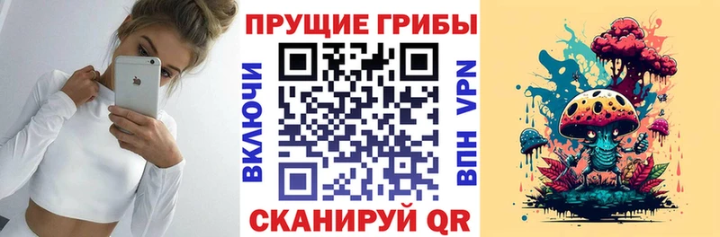 Псилоцибиновые грибы мицелий  закладка  Скопин 